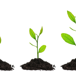 Discipleship: Growing Mature Followers of Jesus (#2 in the Roadmap Series)