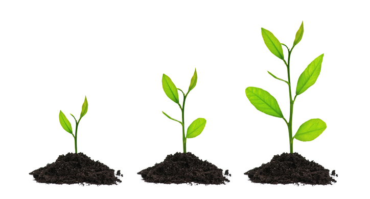 Discipleship: Growing Mature Followers of Jesus (#2 in the Roadmap Series)