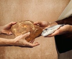 Multiplication: Multiplying Communities of Disciples (#4 of Roadmap Series)