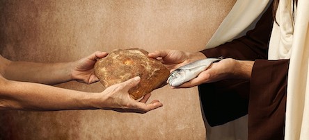 Multiplication: Multiplying Communities of Disciples (#4 of Roadmap Series)